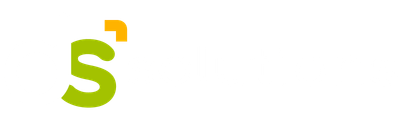 DS Solutions GT